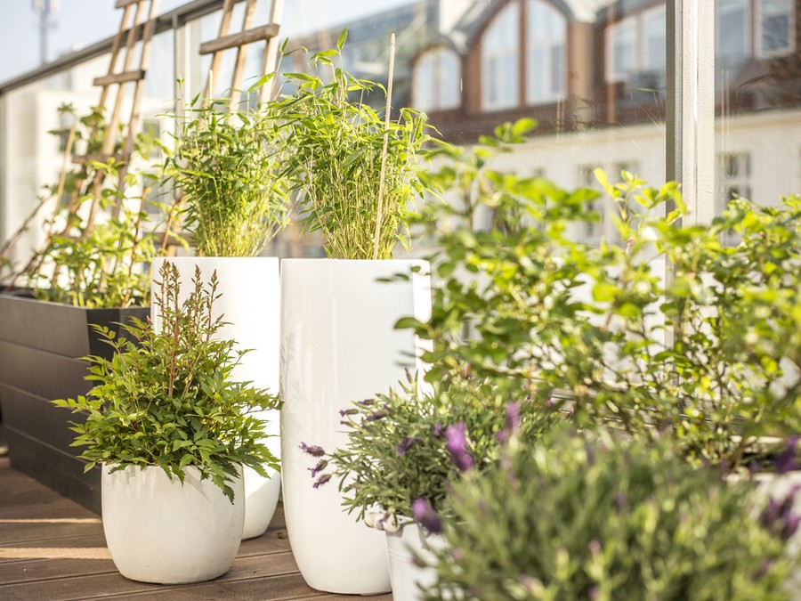 Balcon avec des plantes en pot