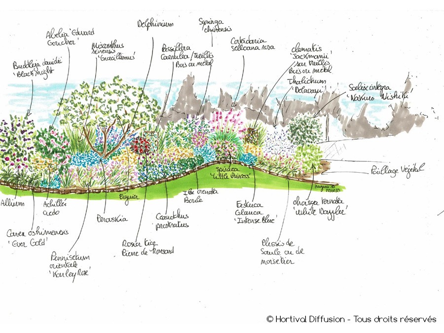 Massif à côté de la maison