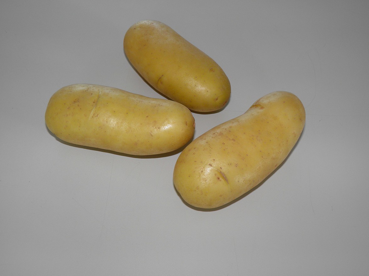 Pommes de terre Dolreine