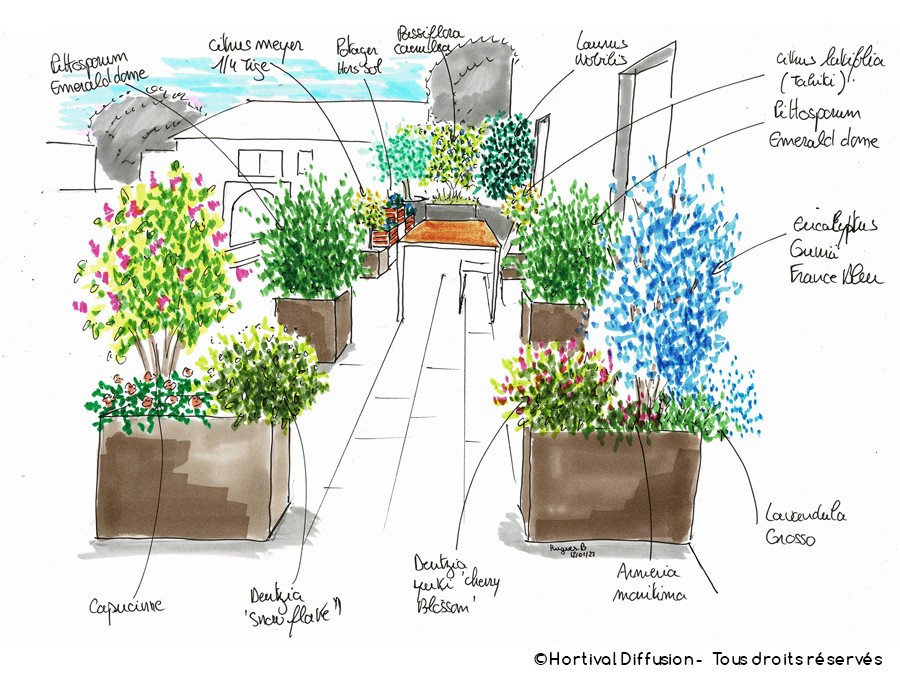 Balcon en longueur avec explications