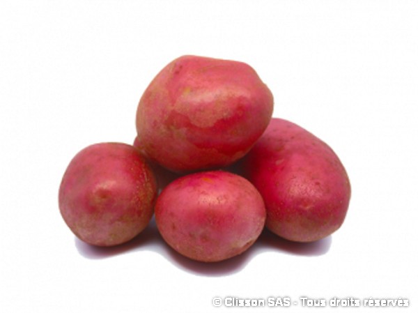 Pommes de terre Alouette
