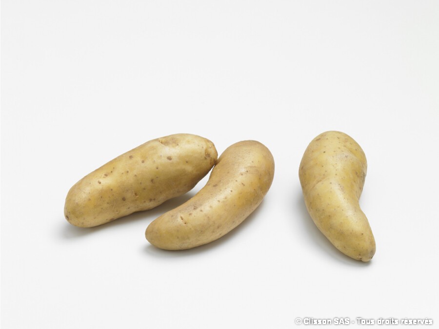 Pomme de terre Ratte | Silence, ça pousse