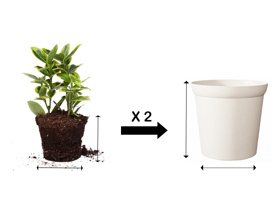 Maquette pot pour plante d'intérieur