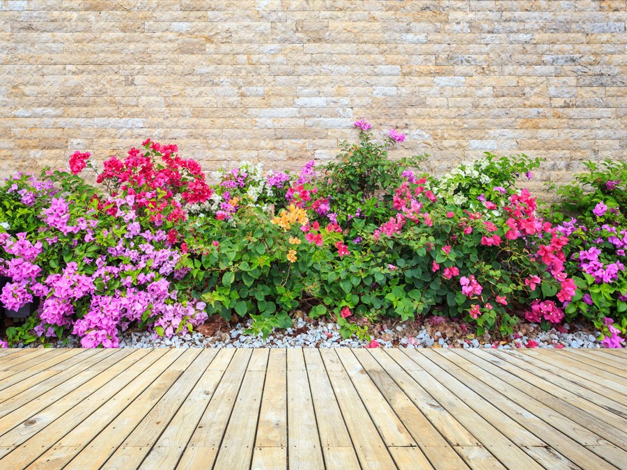 Mixer les couleurs dans son jardin