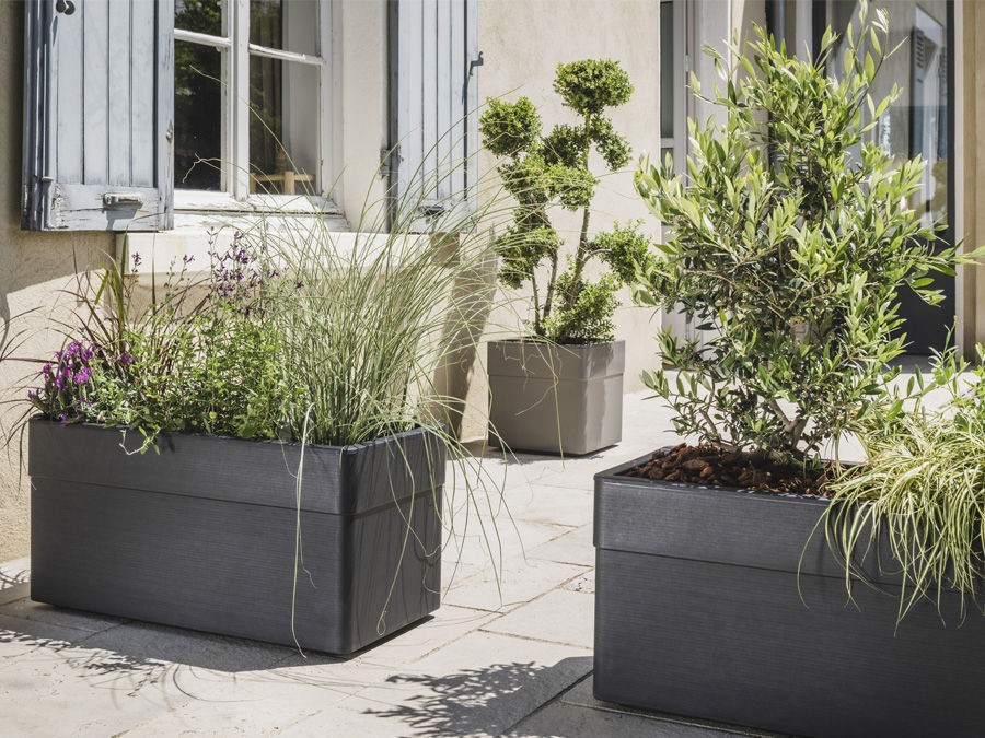 Agrémenter sa terrasse ou son balcon des plantes en pot | Silence,