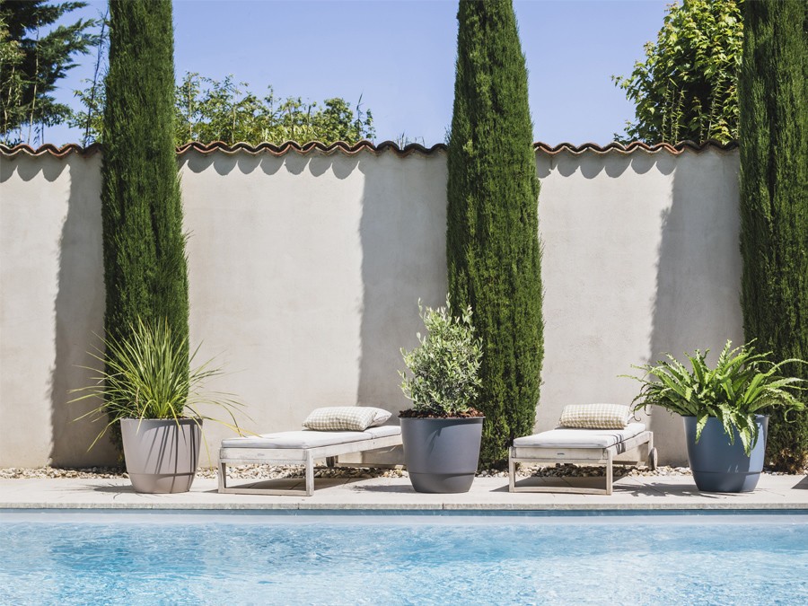 Plantes en pot autour de la piscine