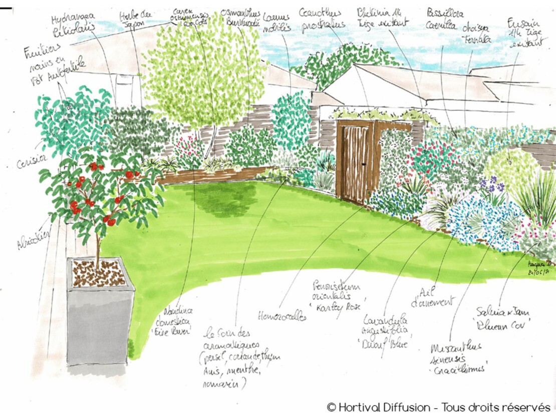 Dessin jardin de Fouad