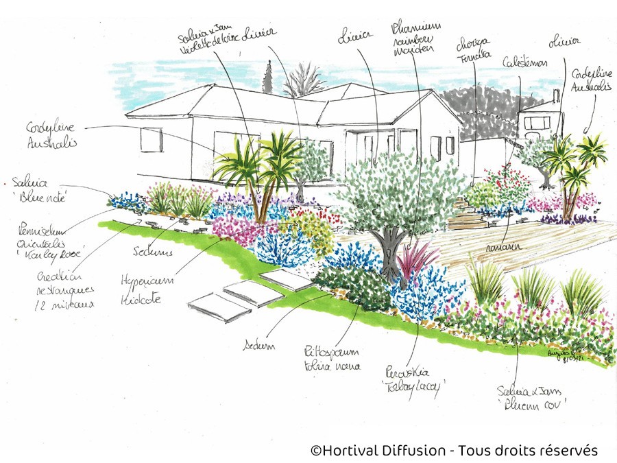 Dessin de massifs dans un grand jardin