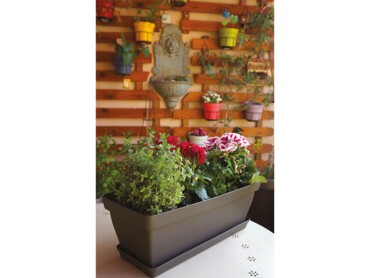 jardinière colorée et parfumée.jpg