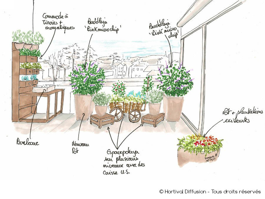 AMBIANCE JARDIN NATUREL ET POTAGER SUR LE BALCON D'ANNE