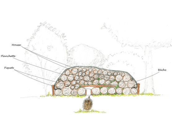 Abri dans tas de bois avec mousse entre les buches et bâche anti-pluie-2.jpg