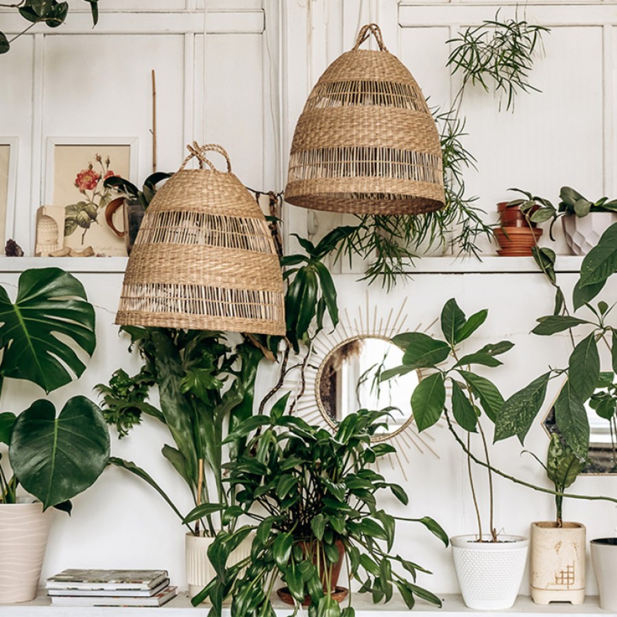 urban jungle - plante verte d'intérieur et cache-pot déco