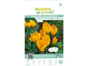 Crocus vitellinus - Espèce botanique à fleurs jaune orangé, précoce