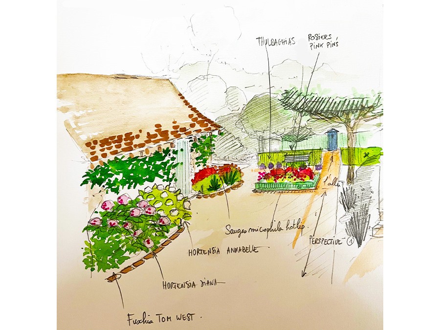 dessin jardin.jpg