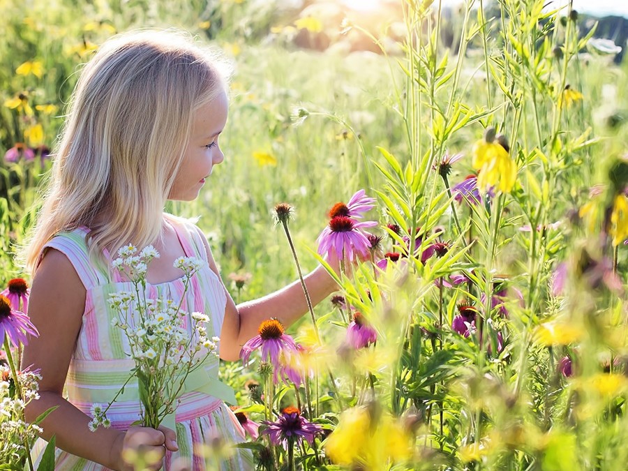 bouquet prairie fleurie.jpg