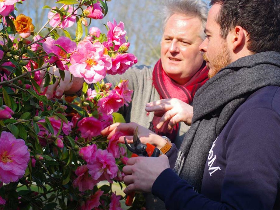 Acheter ou offrir un coaching Donner du style à son jardin