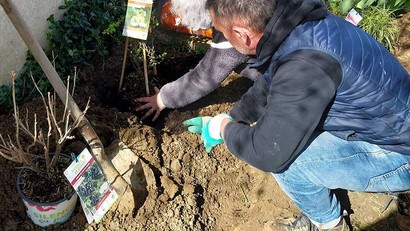 Jardiner avec les bons gestes et les bonnes pratiques