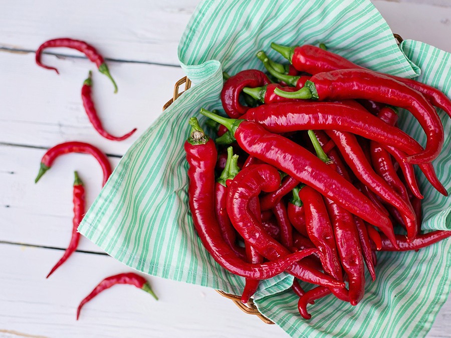 Jardin dans le sac - piment de cayenne - 20 graines - capsicum annum