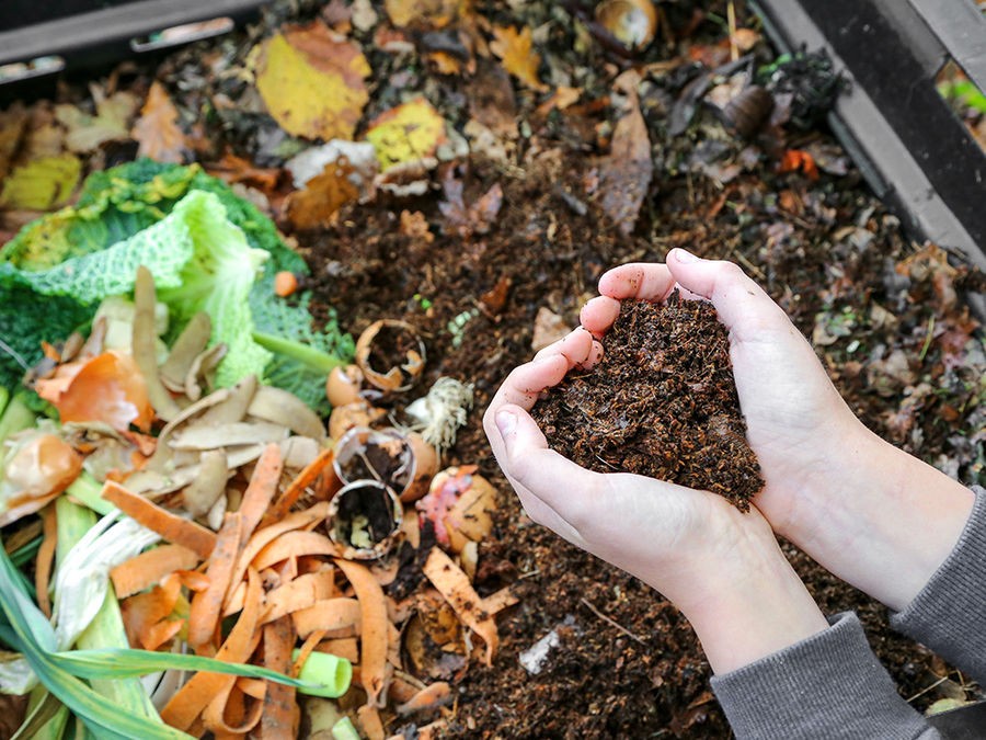 Faire son compost de vers - Écohabitation