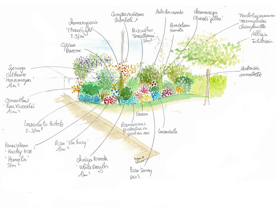 Dessin Mr Prunier annoté.jpg