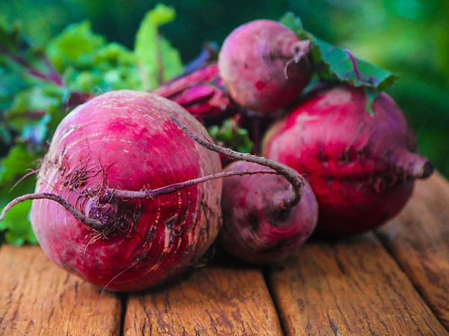 CHOISIR ET SEMER SES BETTERAVES AU POTAGER 