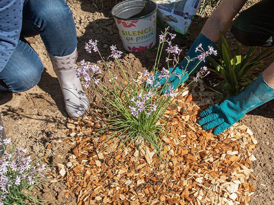 Paillage végétal et minéral : comment choisir son paillis ?