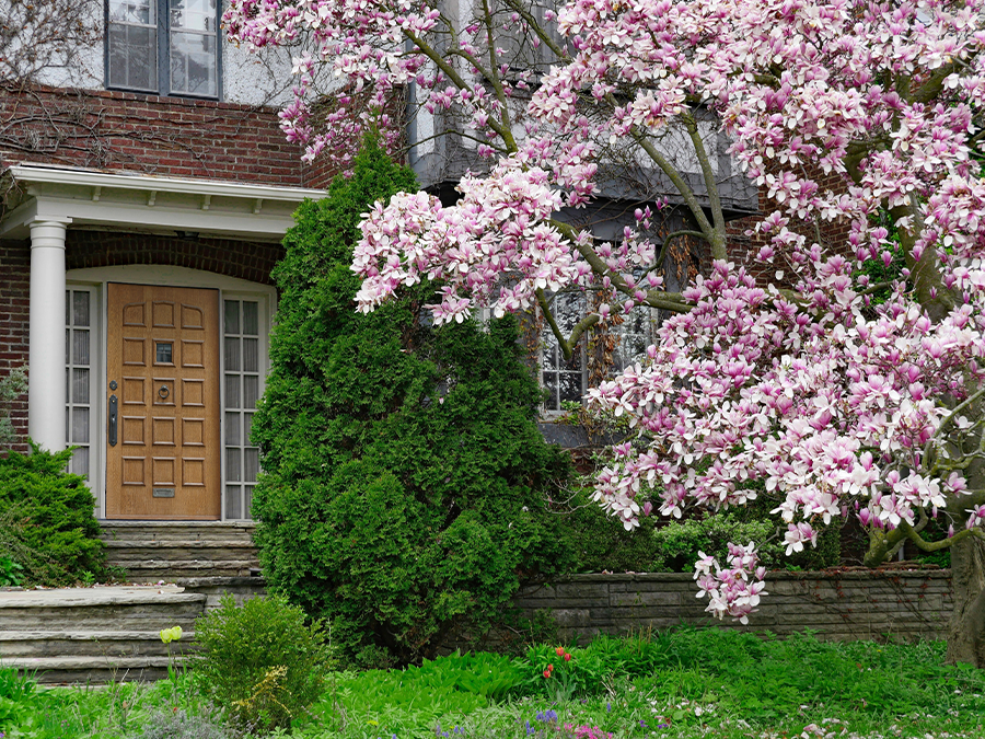 Embellir l'extérieur de la maison avec un jardin d'ornement