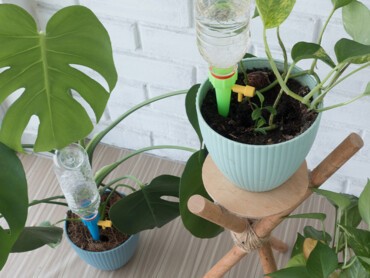 arrosage automatique.jpg