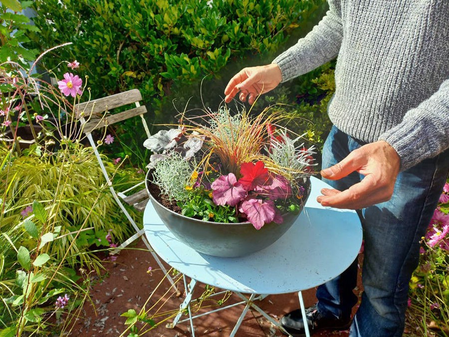 Jardinage en pot : créer un arrangement floral extérieur