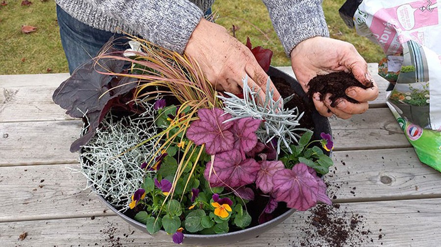 planter chaque plante.jpg