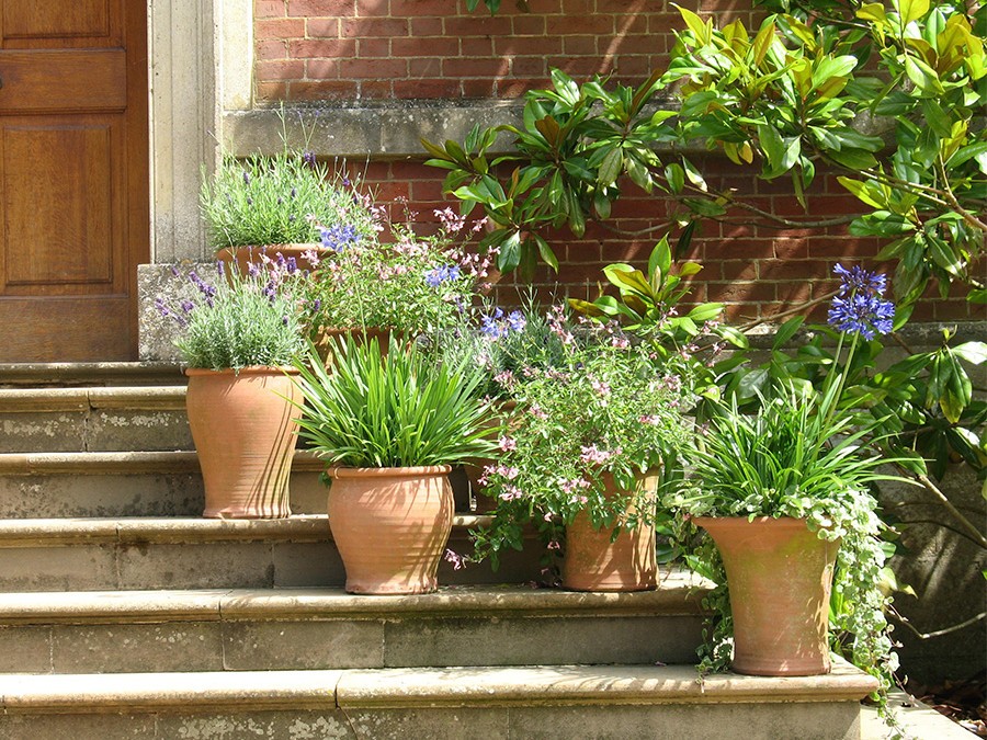 Comment bien choisir la taille d'un pot de fleur ? - Gamm vert