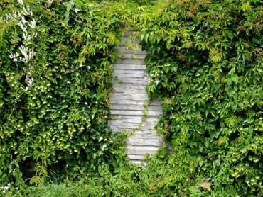 Mettre en place un mur, un claustra ou de la brande.jpg