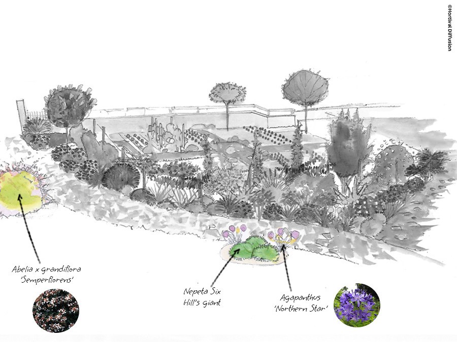 dessin étape 1 - plantes faciles bis.jpg