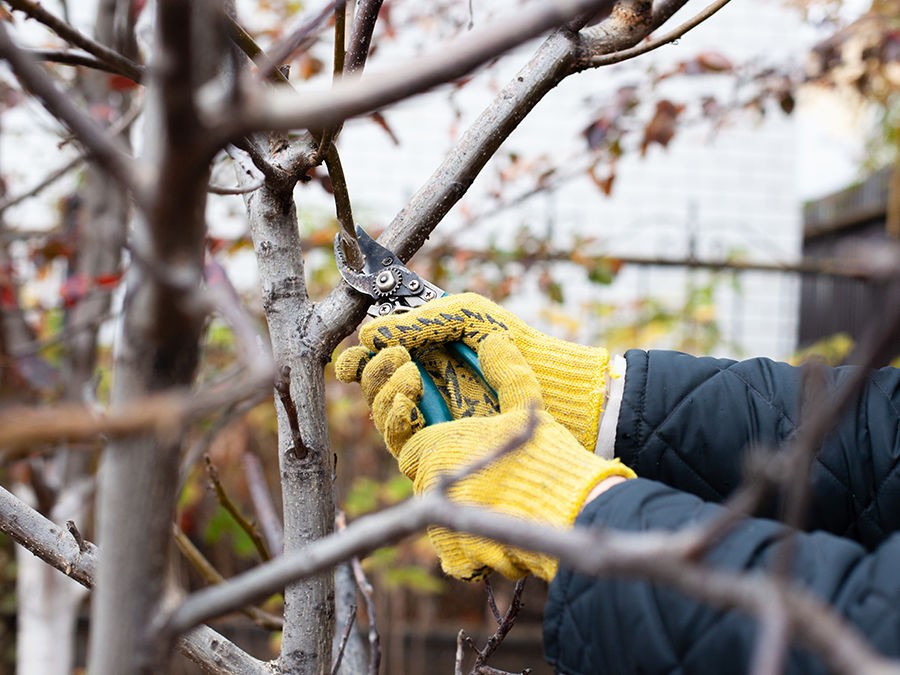 7 façons de tailler les légumes d'hiver