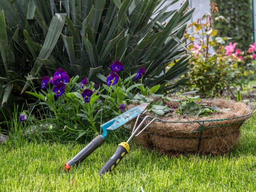 QUELLES TENDANCES AU JARDIN POUR 2024 ?