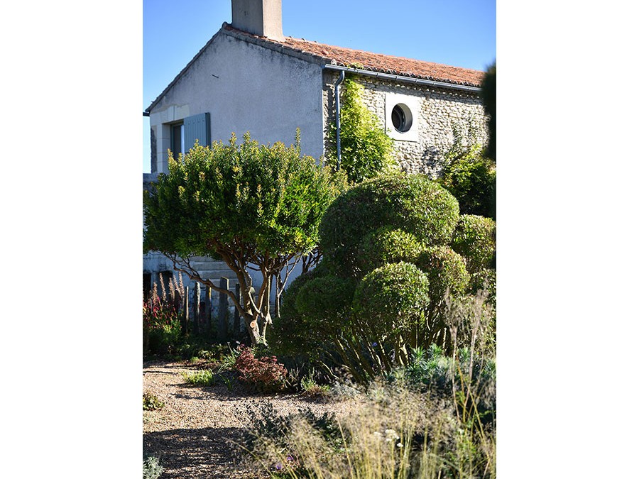 terreau-de-plantation-pour-arbres.jpg