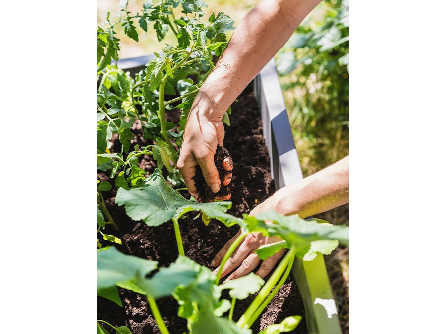 terreau-pour-pots,-bac-et-jardinières.jpg