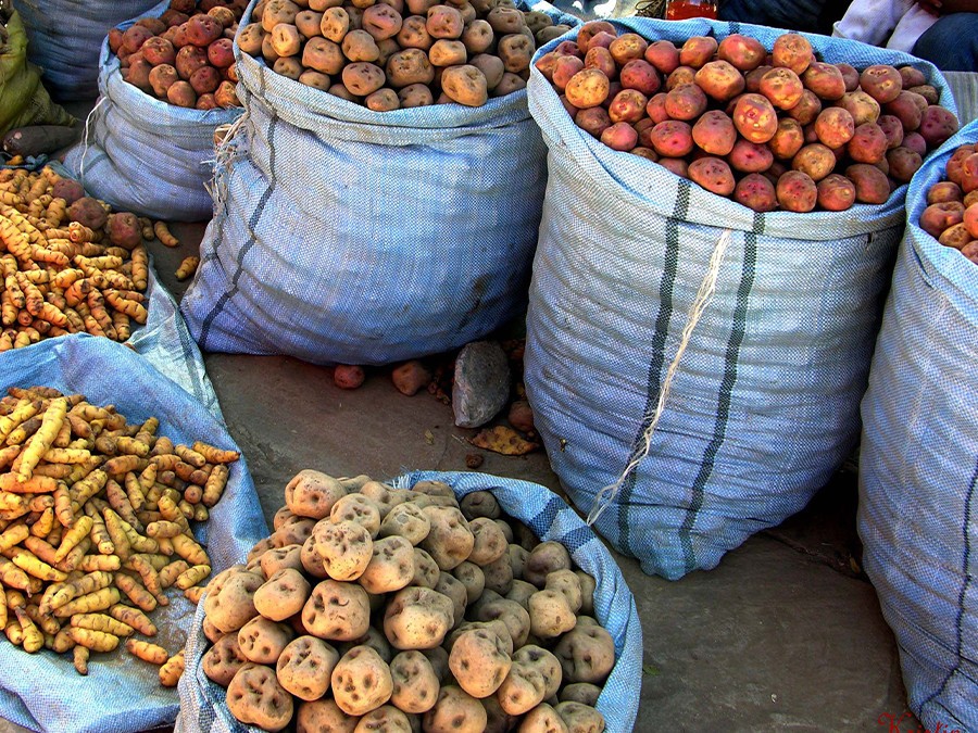 1-Pommes-de-terre-natives-sur-le-marché-de-Cochabamba-en-Bolivie.jpg