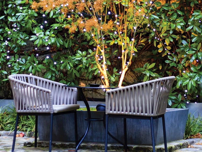 Création de jardin, balcons et terrasses