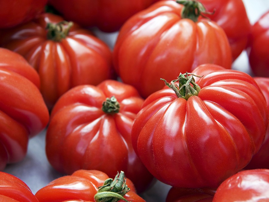 tomate-marmande.jpg