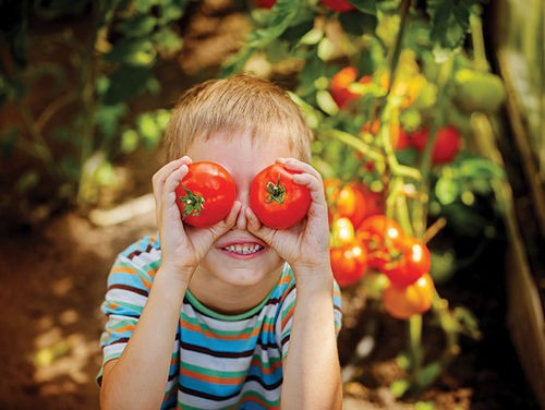 COMMENT INITIER LES ENFANTS AU JARDIN POTAGER ?