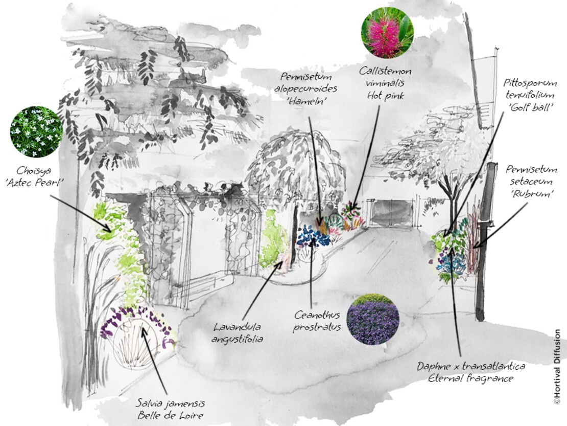  Ajouter des arbustes et des vivaces pour compléter l’espace