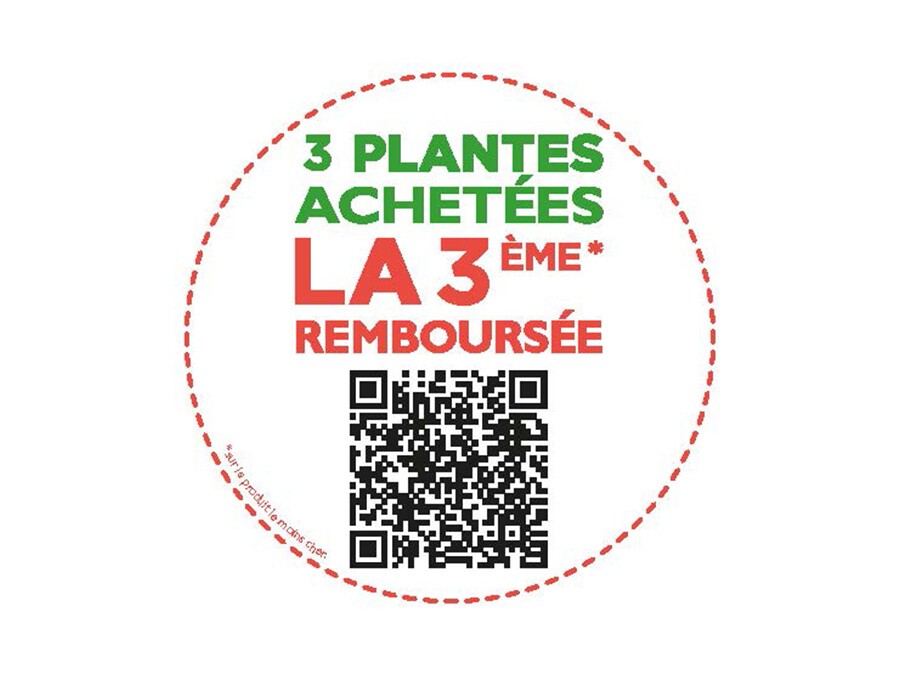 Offres_promo_pts25_Pastilles.jpg Offres_promo_pts25_Pastilles.jpg