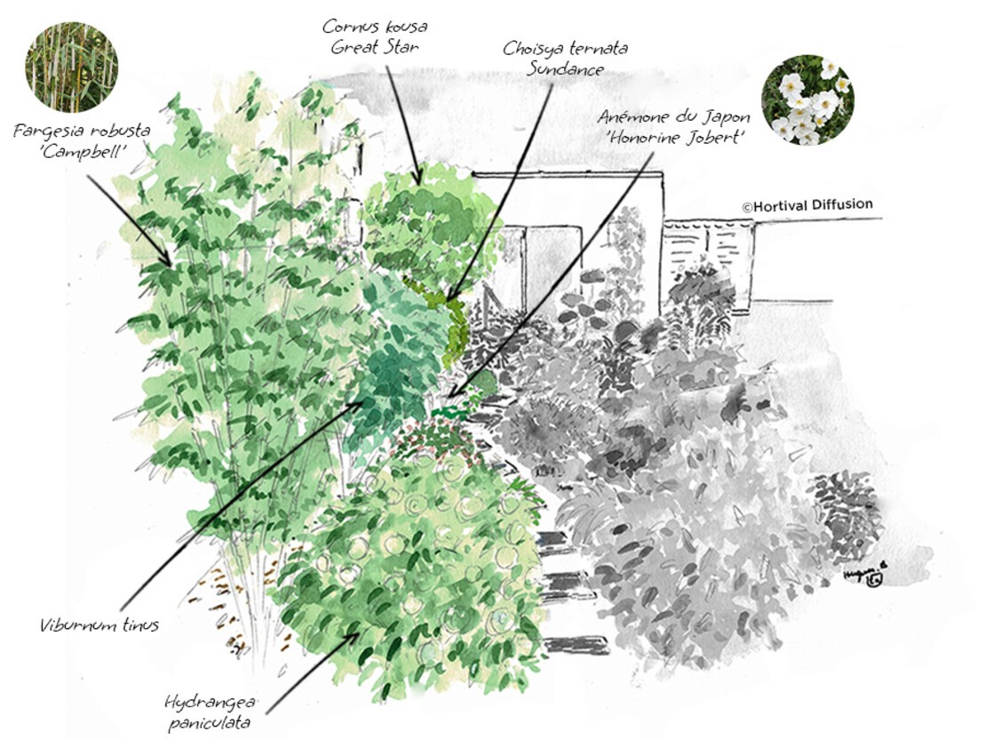 Etape 2 - Au deuxième plan, ajouter des plantes plus hautes et structurantes.jpg
