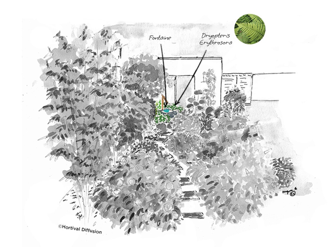 Etape 3 - L’astuce du coach.jpg