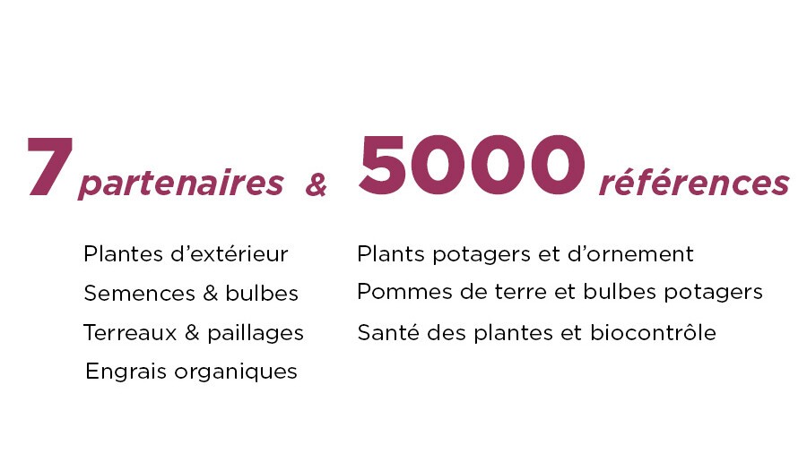 Partenaires.jpg Partenaires.jpg