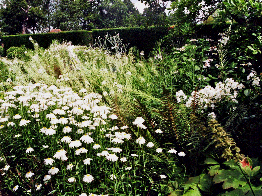 jardin-blanc-de-Sissinghurst.png jardin-blanc-de-Sissinghurst.png