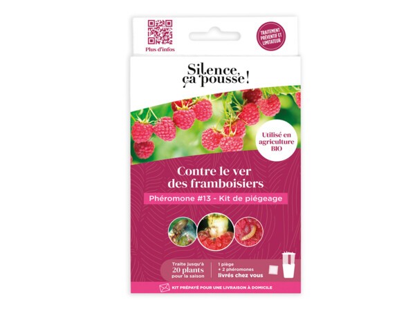 Phéromone #13 Kit de piégeage contre le vers des framboisiers