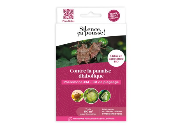 Phéromone #14 kit de piégeage contre la Punaise Diabolique