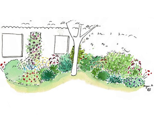 Créer un jardin médicinal et aromatique chez Jules